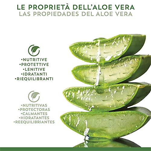 Equilibra Cuidado Bucal, Gel Dentífrico de Triple Acción de Aloe Vera, Acción Calmante y Antiséptica, Protege Contra las Caries, el Sarro y las Enfermedades de las Encías, 75 ml