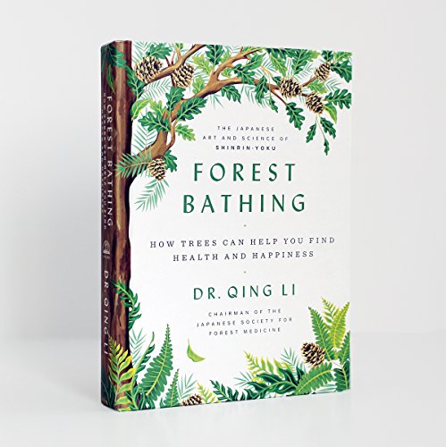 Forest Bathing: How Trees Can Help You Find Health and Happiness