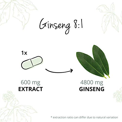 Ginseng Rojo Coreano PURO Vegavero® | LA DOSIS MÁS ALTA: 4800 mg | 20% Ginsenósidos | Sin Aditivos | Estimulante + Impotencia + Concentración + Afrodisíacos | 120 Cápsulas | Vegano