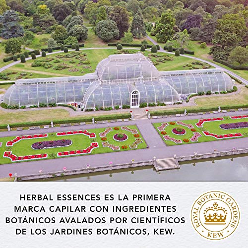 Herbal Essences bio:renew Leche De Coco Hidratación Champú, En Colaboración Con El Real Jardín Botánico De Kew 6x 250ml