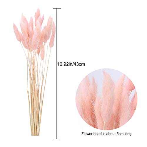 HUAESIN 30pcs Flores Secas Pampas Decoracion 45cm Hierba de Pampa Grass Flor Seca Natural Rosa para Jarrones Boda Fiesta Mesa Pluma Maceta Balcon Cocina Terraza Manualidad Tallo Individual