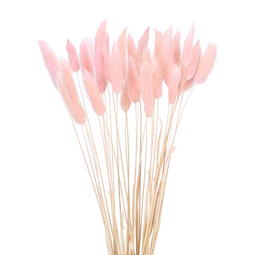 HUAESIN 30pcs Flores Secas Pampas Decoracion 45cm Hierba de Pampa Grass Flor Seca Natural Rosa para Jarrones Boda Fiesta Mesa Pluma Maceta Balcon Cocina Terraza Manualidad Tallo Individual