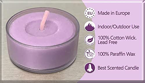 Hyoola Velas de Té Perfumadas - Velas Candelitas en Vaso Transparente - Velas Aromáticas con Aroma a Vainilla y Lavanda - Violeta Claro - 6 Horas de Combustión - Pack de 15 - Hechas en Europa