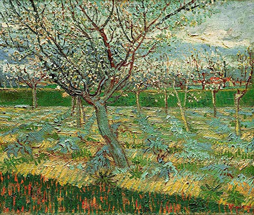 JH Lacrocon Van Gogh - Albaricoqueros En Flor Reproducción Cuadro sobre Lienzo Enrollado 60X50 cm - Paisaje Pinturas Impresións Decoración Muro