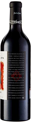 Juvé & Camps | Vino Reserva Tinto Viña Escarlata | 75 cl | D.O Penedes | Merlot