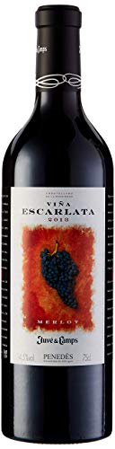 Juvé & Camps | Vino Reserva Tinto Viña Escarlata | 75 cl | D.O Penedes | Merlot