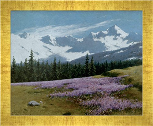 Kunst für Alle ' – Fotografía enmarcada de Stanislaw Witkiewicz Crocus Antes verschneiter Paisaje de montaña, de impresión handgefertigten imágenes de Marco, 40 x 30 cm, Oro Raya