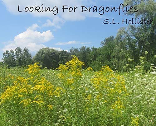 Looking For Dragonflies (English Edition)