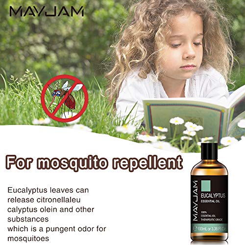 MAYJAM Aceites Esenciales de Eucalipto 100 ml, 100% Aceites Esenciales Naturales Puros, Aceite Esencial de Aromaterapia de Grado Terapéutico, aceites de Fragancia para Difusor, Regalos Perfectos