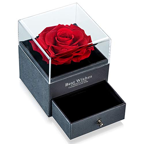 Nuptio Rosa Roja Preservada para Siempre para Novia, Flor Rosa Real Eterna, Regalo Cumpleaños Aniversario Boda Ella, Flor Fresca Infinita con Caja Regalo Joyería para el Día San Valentín, Día La Madre