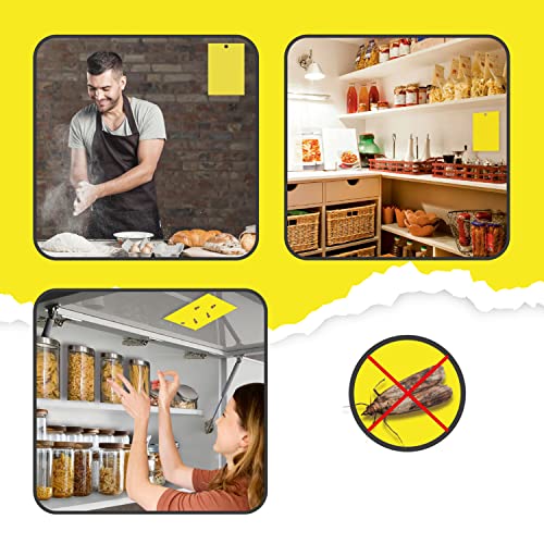 O³ Trampa Polillas Alimentos 8 Unidades - Trampa Antipolillas Cocina - Protege Tus Alimentos contra Polillas - Fáciles de Usar