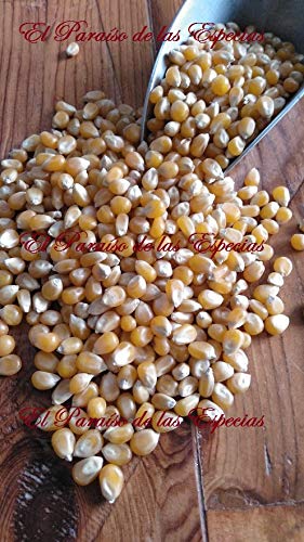 Palomitas de Maíz , Maíz Rosetero 43/45 USA , Semilla Extra 900 grs