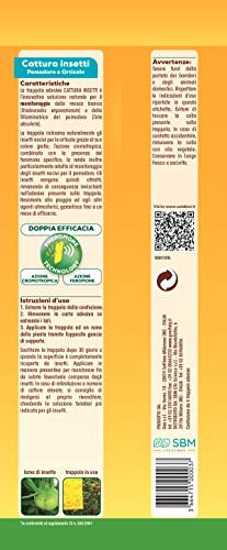 Placa con feromonas Tuta Absoluta para el control de las principales plagas del tomate y otros cultivos