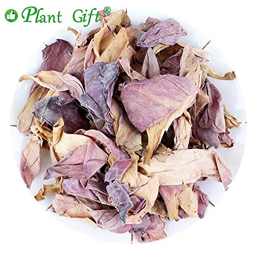 Plant Gift Original Chinese Lotus Flower ( Flor de loto ) Dried Lotus Petals, Pétalos de loto seco, Leaf tea Chinese slimming tea, herbal tea, decrease to lose weight 30g/1.05oz