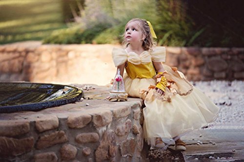 Princesa Belle Disfraz de Belleza y La Bestia Vestidos de Halloween Fiesta de Disfraces Vestidos de Princesa para Niña, Belle, 2-3 Años