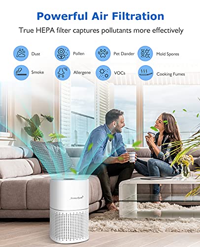 Purificador de Aire, CADR 230m³/h a 35m², Purificadores de Aire con Filtro HEPA Elimina 99,97% Alergia Polvo Polen Ácaros Humo Olores Pelo, Air Purifier con 3 Velocidades, Temporizador, Modo de Sueño