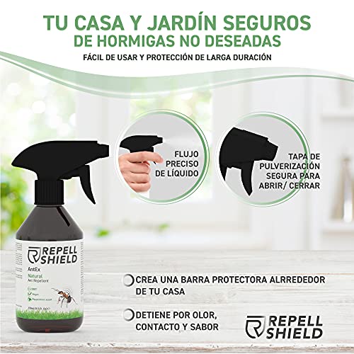 REPELL Shield Spray Repelente Hormigas - Repelente Antihormigas Interior y Exterior - Spray Anti Hormigas con Aceite de Menta y Canela - Alternativa Natural Ideal a Mata Hormigas Insecticida, 250ml