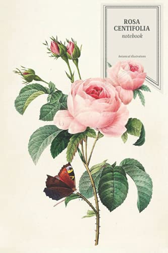 Rosa Centifolia Botanical Illustrations Color Palette Notebook: Cabbage Rose Flower and Plant Vintage Inspired Color Palette Journal and Sketchbook (Botanical Illustrations Color Palette Notebooks)