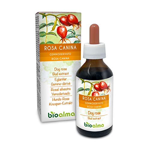 Rosal silvestre (Rosa canina) Yemoderivato sin alcohol de yemas frescas | Extracto líquido gotas 100 ml | Complemento alimenticio | Vegano