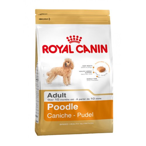 Royal Canin Alimento seco para perros caniche 1,5 kg