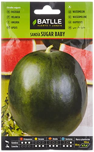 Sandia Sugar Baby