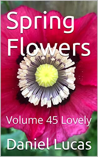 Spring Flowers : Volume 45 Lovely (English Edition)