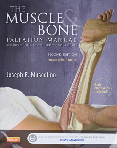 The Muscle and Bone Palpation Manual with Trigger Points, Referral Patterns and Stretching, 2e