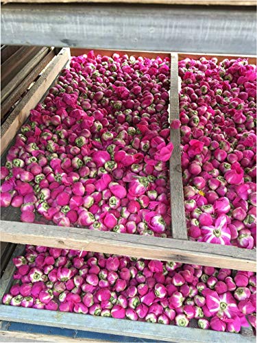 TooGet Flower Petals and Buds Incluye Rosa Roja, Bola de Peonía, Gomphrena globosa, Flores de Melocotón, Flor a Granel de Té Verde para Hacer Aceite Botánico, Tipo de Manualidades.