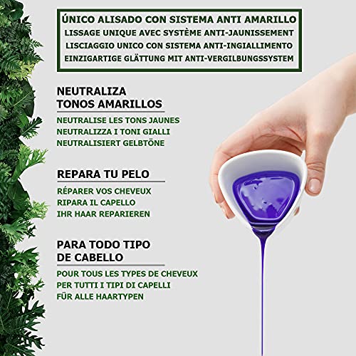 VegLiss Alisado Vegetal de Queratina, Kit Alisado Brasileño Vegano En Casa Sin Formol Sin Sulfatos No Testado en Animales, Tratamiento Capilar Hidratante, Repara y Reduce el Frizz Hasta 12 Semanas