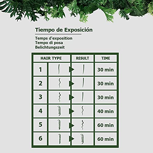 VegLiss Alisado Vegetal de Queratina, Kit Alisado Brasileño Vegano En Casa Sin Formol Sin Sulfatos No Testado en Animales, Tratamiento Capilar Hidratante, Repara y Reduce el Frizz Hasta 12 Semanas