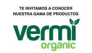 VERMIORGANIC Planta Vetiver Ecológica, PROMOCIÓN 100 Esquejes. Evita la erosión, sirve como contención de taludes y se usa para la depuración de aguas.