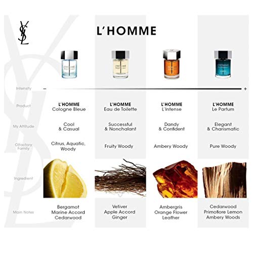Yves Saint Laurent YSL L'Homme LE Parfum EDP. 100ML. SP, Zapatillas Unisex Adulto, Negro, 100 ml