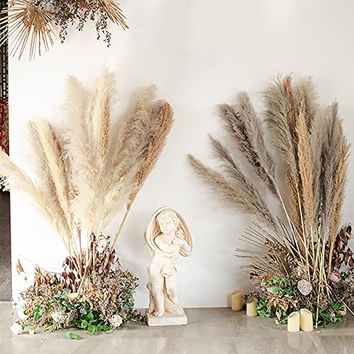 10 Unids Flores Secas Pampas Hierba Reed Hierba Plumes Gran Planta Natural Color Natural Pampas Fluffy Phragmites 47"Tall Cream Fluffy Pampas Grass Decor para el hogar