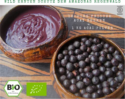 100% Amazonia Polvo de Acai puro orgánico, extracto fresco de bayas de Acai (pan crudo), secado en congelador, impulsado por el proyecto Aryiamuru, envases compostables, MHD 18/01/2023 (100 g)