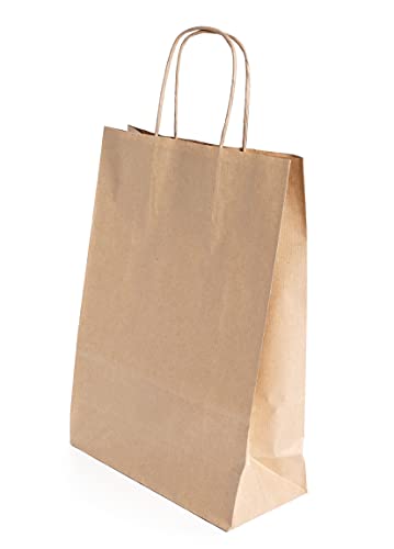 (250 uds.) Bolsas de Papel kraft BIODEGRADABLES con ASA RIZADA, para comercios, RECICLABLES, REUTILIZABLES Y SOSTENIBLES, bolsas marrones resistentes (240+110x320)