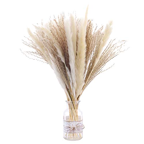 50 Pampas Secas Naturales Blancas De 40 Cm, Decoración Para El Hogar, Flores Secas Naturales De Fragmitas Para Jarrones, Ramo De Flores Blancas Fragmitas Para Decoración De Bodas Y Fiestas