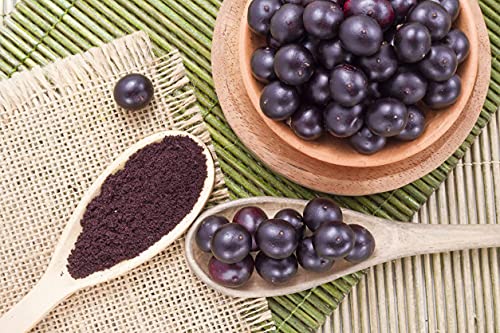 Acai en Polvo 100% Orgánico 70 gr Carefood | Bayas de Acai | Acai Berry | 100% BIO | Natural y sin Azúcares añadidos