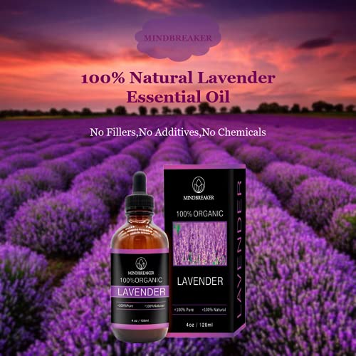 Aceite esencial de lavanda, Mindbreaker 100% el aceite esencial del grado terapéutico orgánico puro, consigue un mejor sueño, aromatherapy, antiinflamatorio, alivia dolores de cabeza (120ml Upgrade)