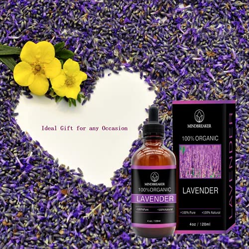 Aceite esencial de lavanda, Mindbreaker 100% el aceite esencial del grado terapéutico orgánico puro, consigue un mejor sueño, aromatherapy, antiinflamatorio, alivia dolores de cabeza (120ml Upgrade)