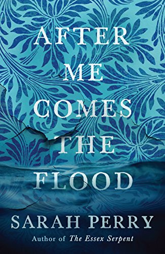 After Me Comes the Flood (English Edition)