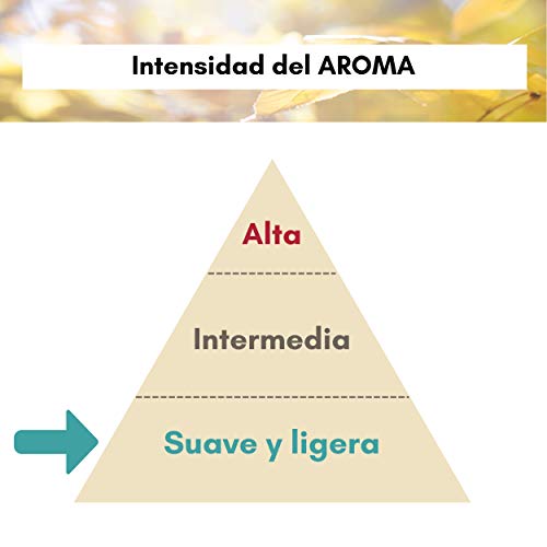 AMBICAR - Ambientador eléctrico para COCHE. Pack Inblack Nº1 (Difusor+Recambio NATURE +Bolsa Ecológica) Esencia Natural, SIN Alcohol ni Químicos. Fragancia fresca y pura + bolsita para guardar cosas