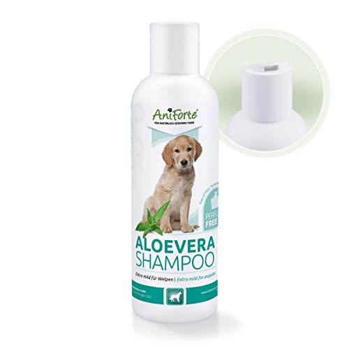 AniForte Champú Aloe Vera para Perros de 200ml - Champú Suave para Perros, sin Perfume, para Cachorros para Perros jóvenes y Perros sensibles, para un Pelo Brillante y fácil de peinar