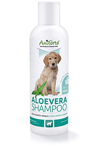 AniForte Champú Aloe Vera para Perros de 200ml - Champú Suave para Perros, sin Perfume, para Cachorros para Perros jóvenes y Perros sensibles, para un Pelo Brillante y fácil de peinar