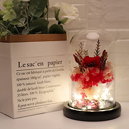 ANLUNOB Flor Fresca preservada con luz LED Rosa Hecha a Mano para Siempre Rose Regalo en cúpula de Vidrio La Bella y la Bestia Regalos para el día de la Madre Día de San Valentín Día de Navidad