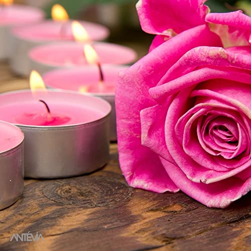 ANTEVIA - Lote de 15 velas aromáticas con aroma a rosa, más de 10 modos, color: rosa (Virtua Rose)