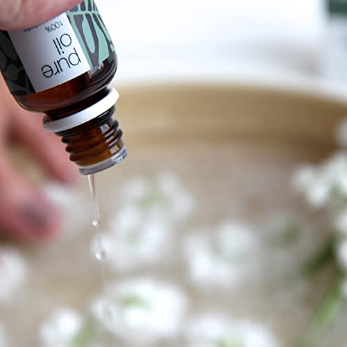 Australian Bodycare Pure Oil, 100% Tea Tree Oil, 10ml | El aceite de árbol de té de grado farmacéutico calma las irritaciones comunes de la piel | Aceites esenciales de aromaterapia I Natural