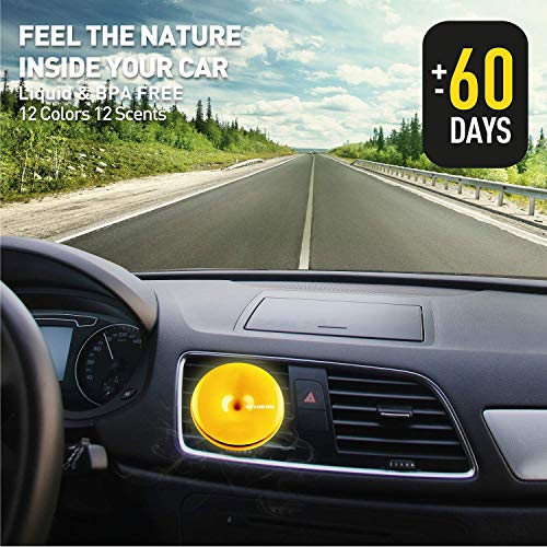 Be in a Good Mood - Fragancias para coches - Aceites esenciales y ambientador para coche con difusor de ventilación - fácil de usar - mejora su estado de ánimo y elimina olores desagradables