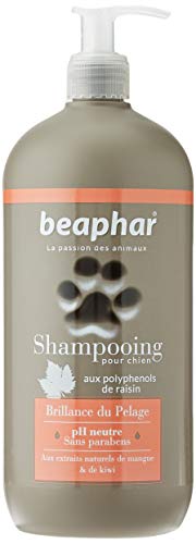 Beaphar Champú Alta Cosmética Perros Pelo Brillante, Un tamaño 750 ml 750 ml