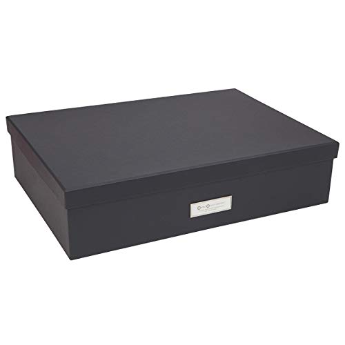 Bigso Box of Sweden Organizador de accesorios de tablero de fibras y papel – Caja de almacenamiento con tapa y etiqueta para diversos artículos – Caja con compartimentos (12 en total) – gris oscuro