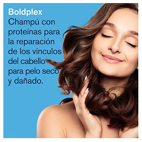 BoldPlex 4 Bond Champú de Proteínas para Cabello Seco y Dañado - Hidratante para Pelo Rizado, Seco, Teñido, Encrespado, Dañado o Decolorado - Sin Parabenos ni Sulfatos - 100% Vegano - 237 ml